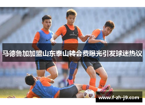 马德鲁加加盟山东泰山转会费曝光引发球迷热议