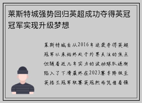 莱斯特城强势回归英超成功夺得英冠冠军实现升级梦想