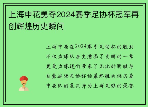 上海申花勇夺2024赛季足协杯冠军再创辉煌历史瞬间